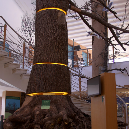 image du projet Maison de la Cédraie du Moyen Atlas