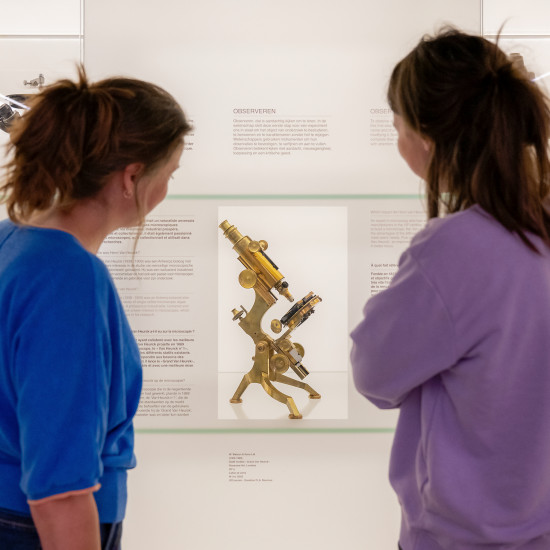 image du projet La passion de la recherche - Musée L