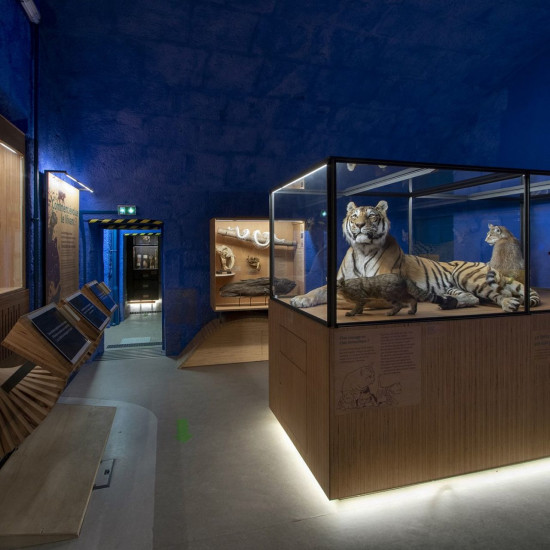 image du projet Naturalium de Besançon