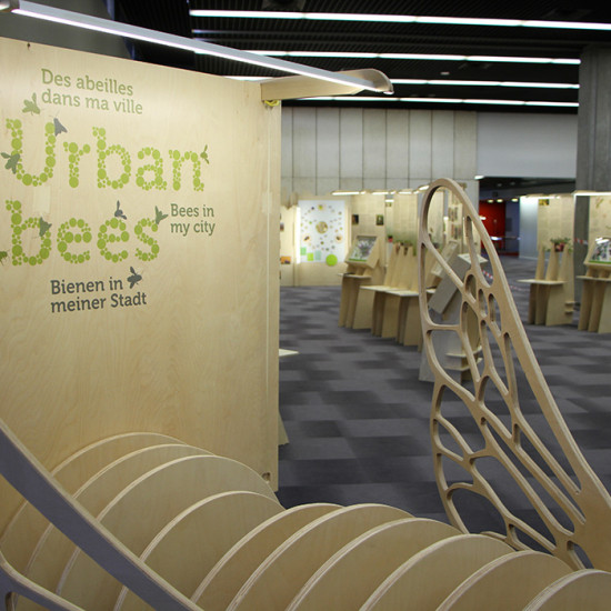 image du projet Urban bees